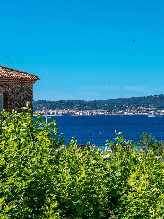 Hotel Les Palmiers Sainte-Maxime